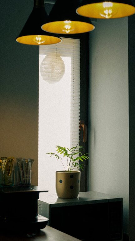 Simple Tips to Create a Cozy and Inviting Home Environment